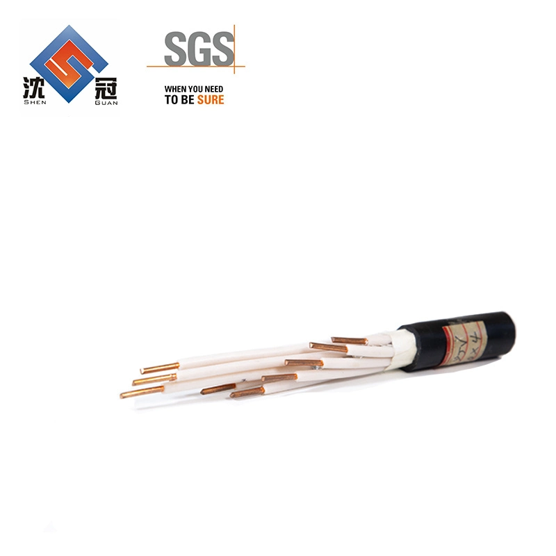 Shenguan Wire Cable Market Low Voltage Overhead ACSR Messenger 6AWG Duplex Service Drop Cable EV Power Charger Electrical Electric Copper Wire Cable