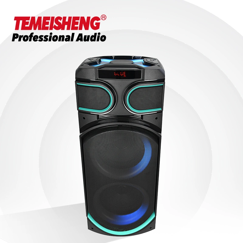 Temeisheng 8 Inch Party Box 100 Watt Professional Portable Wireless Audio Blueotth Speaker with Microphone