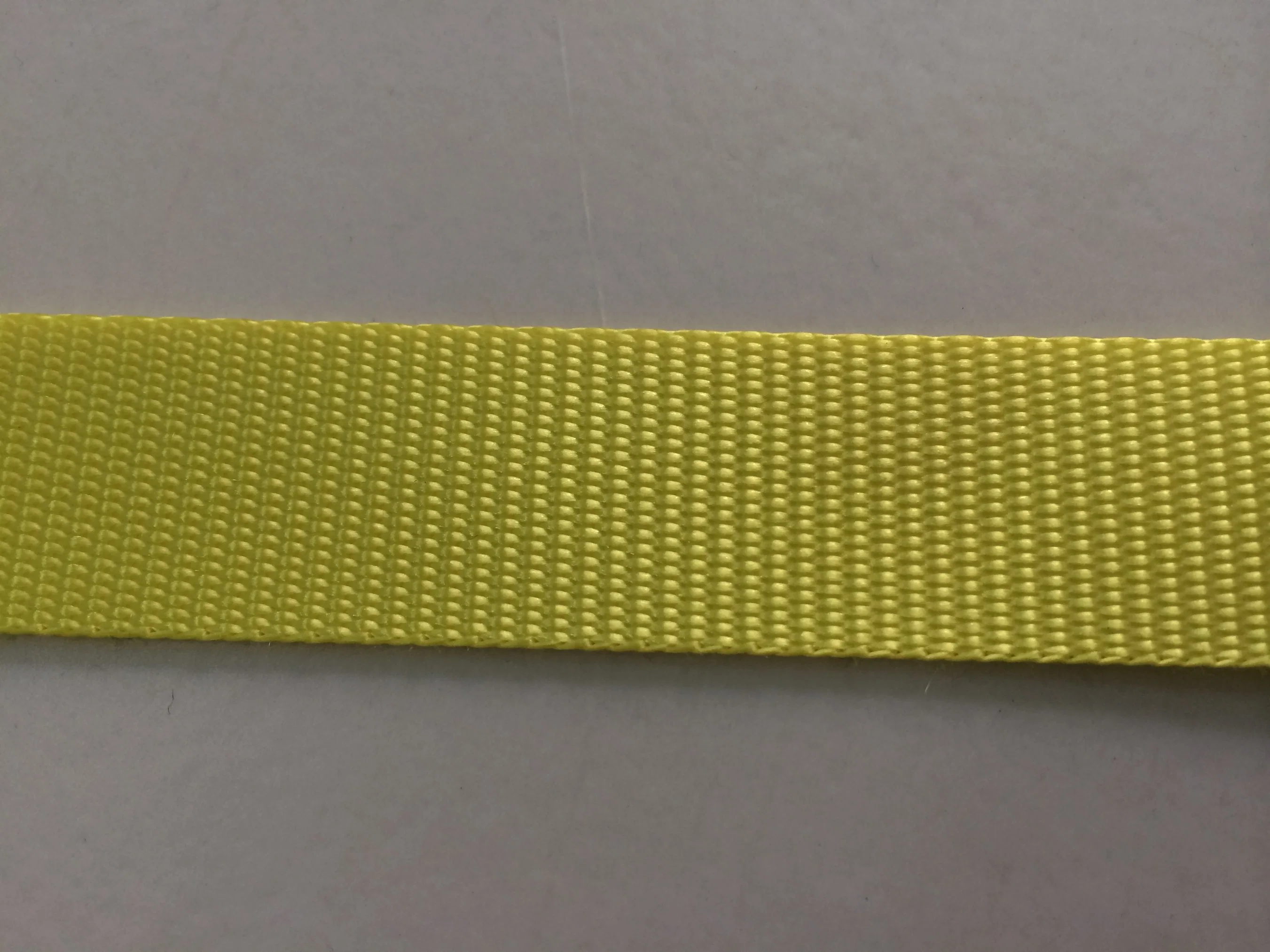 Kundenspezifisches Polyester-Webbing für Ratchet Strap