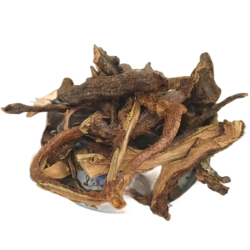 Chinese Herb Gu Sui Bu Crude Medicine Rhizoma Drynariae