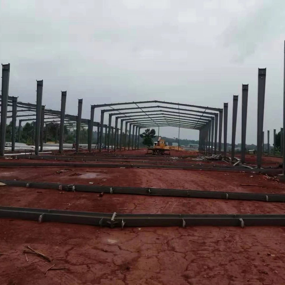 Quickly Installed Simple Style Prefabricated Steel Structure Plant with Certificates