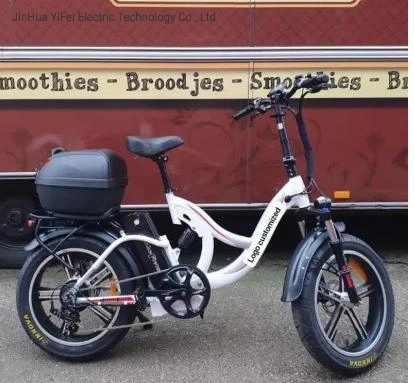 New Hot Sale E-Bike Fat Tire Folding Electric Bicycle Bike Montain/Snow/Beach Bike