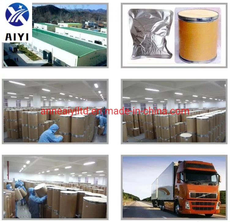 Hydroxypropyl Methyl Cellulose CAS 9004-65-3, HPMC, Cellulose, Construction Material, Building Material