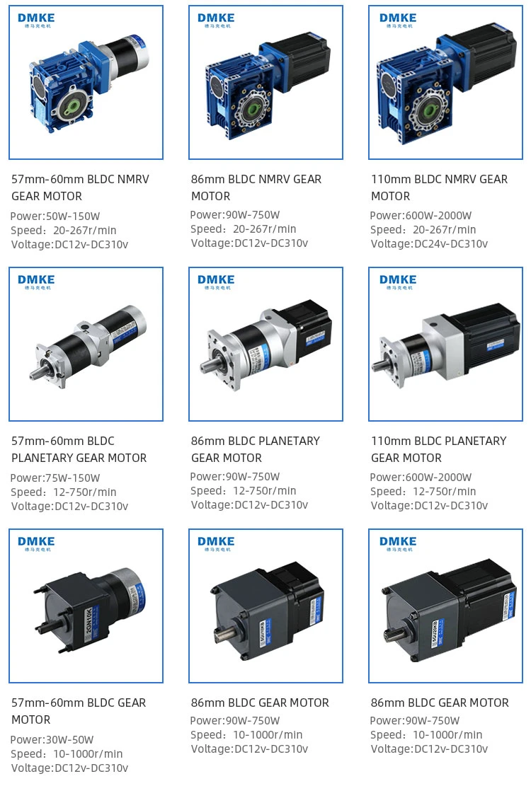 Gusano de 12V24V DC 450W 350W de imán permanente BLDC DC personalizado Generador de motores de engranajes