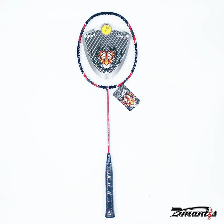 Badminton Rackets with Pair of Two Rackets Dmantis DMS55 Set