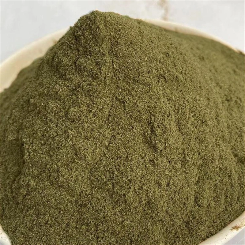 Экстракт листьев Mugwort ISO бесплатные образцы 100% органических Artemisia Princeps экстракт листьев порошок 10: 1 Основная часть пользовательских