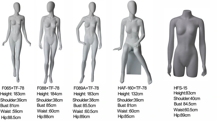 Wholesale/Supplier Fiberglass Astract Female Mannequin Display for Fashion Shop