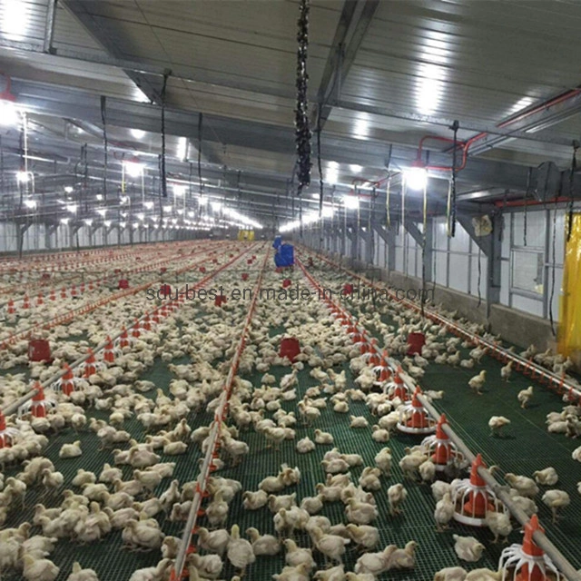 Well Designed Broiler Breeder Layer Chicken Use Poultry Farm Construction Design