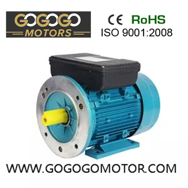 Yc Series Single Phase Heavy-Duty Electric Motor