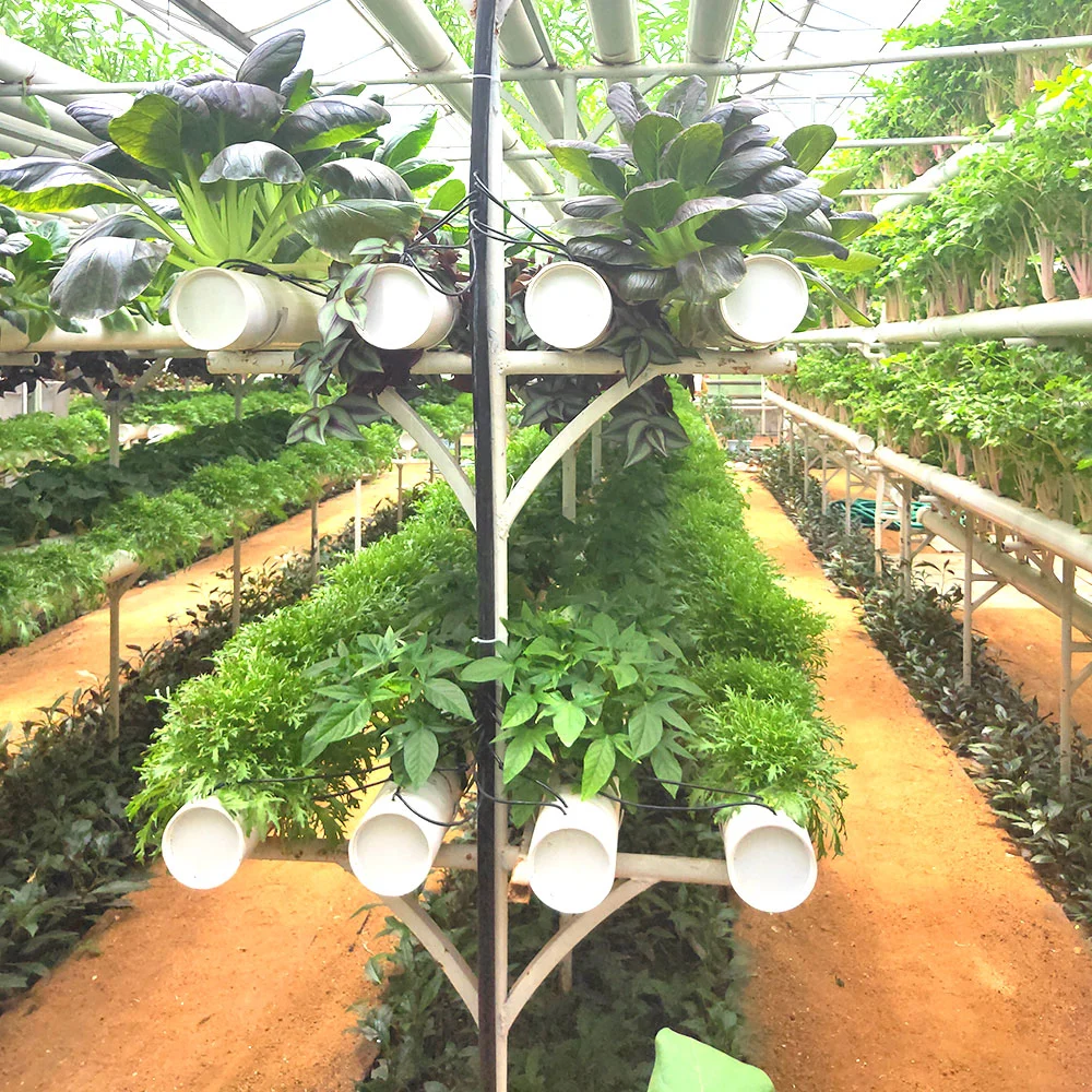 Home Farm NFT Canal Hydroponics crescente sistema com Interior Exterior Fresa de fruta inteligente para quinta de jardim