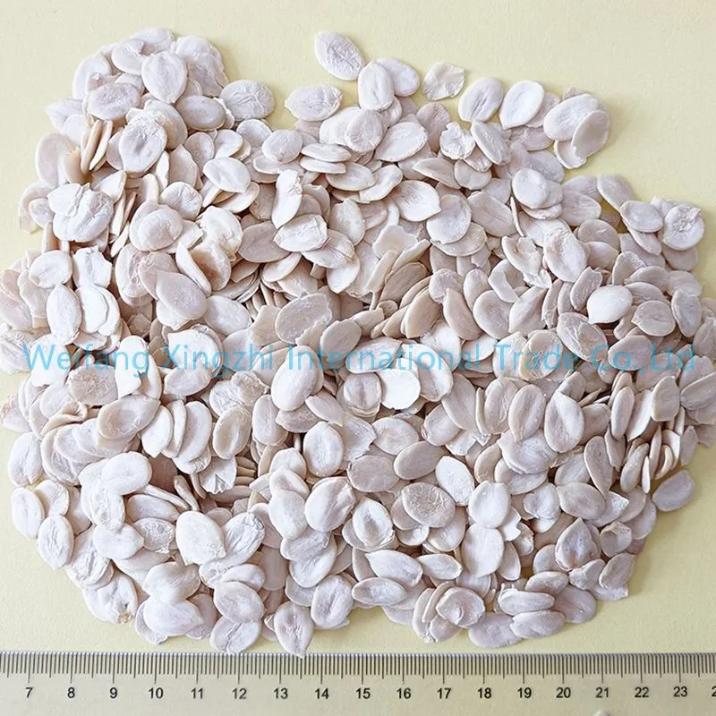 Large Size Watermelon Seeds Cheap Price Melon Seeds Without Shell