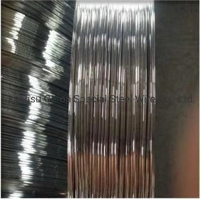 High Quality Products Most Popular Hot Dipped Galvanized Shaped Wire Triangle Steel Wire