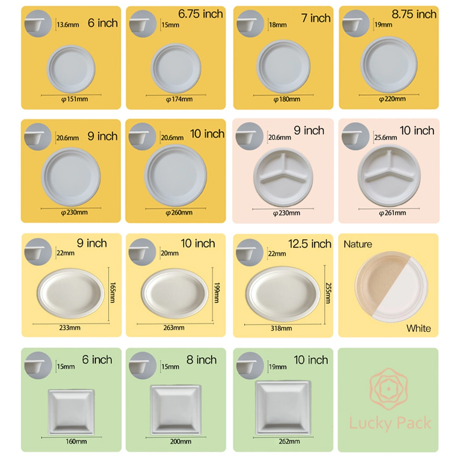 Contenant alimentaire jetable en canne à sucre biodégradable, emballage alimentaire en papier de bagasse