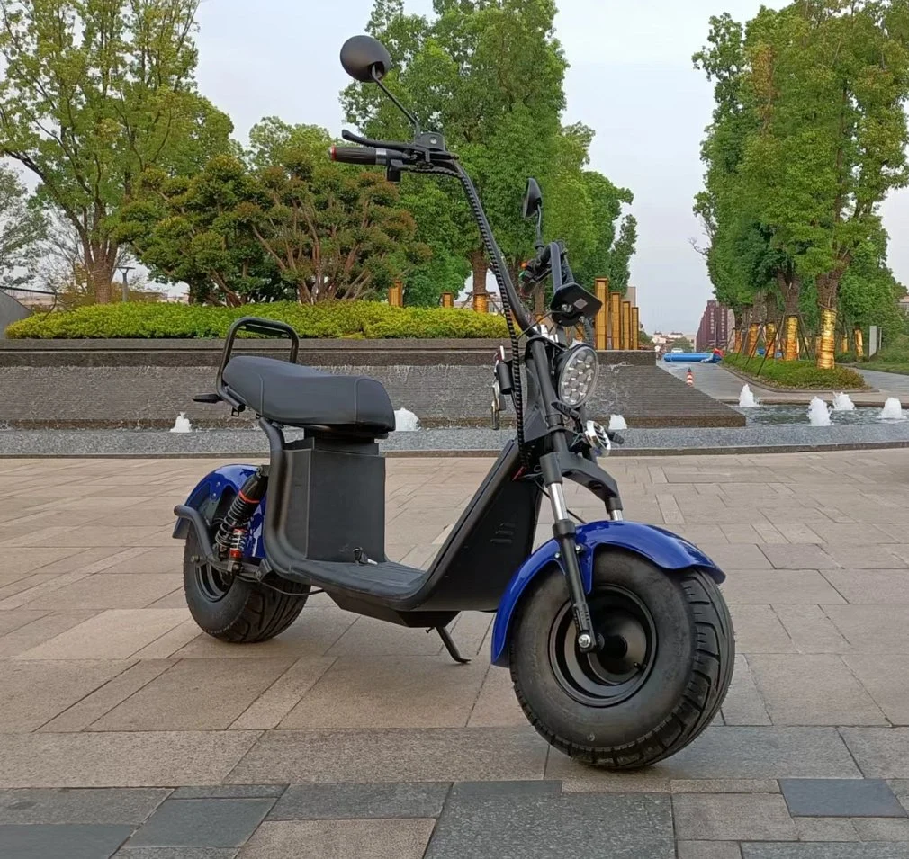 Popular 2 Wheel Fat Tire 2000W 60V CE Citycoco Electric Scooter