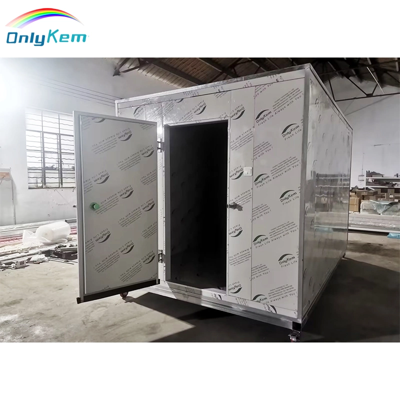 Cold Storage Room for Fish Meat Vegetable, Ice Store