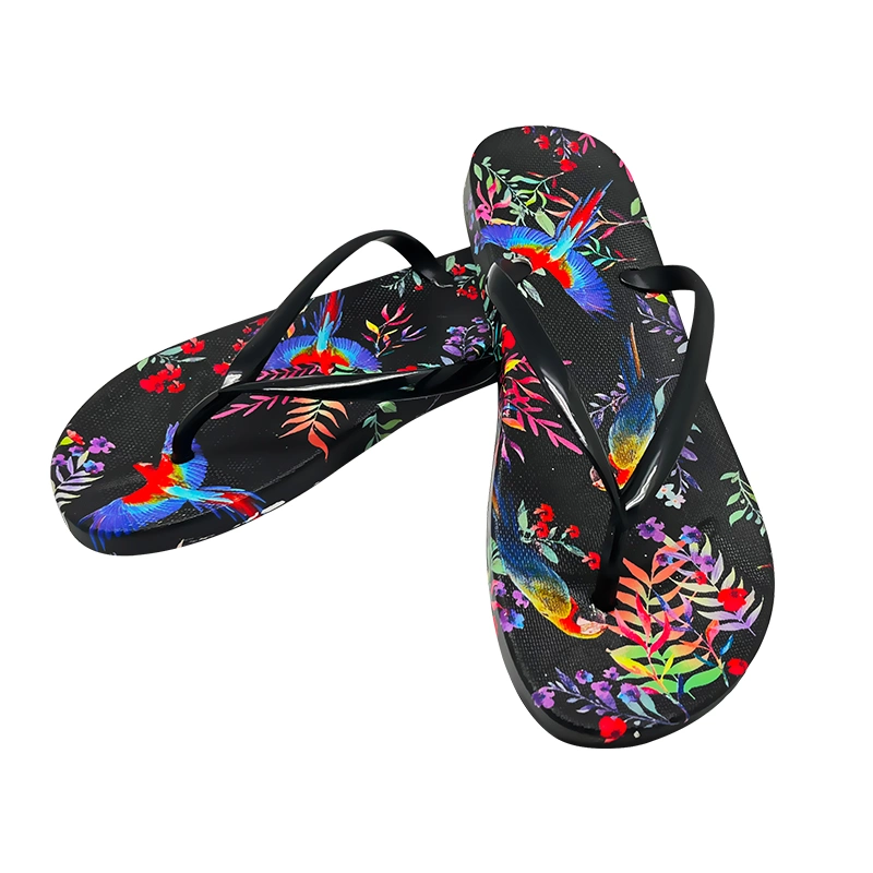 Wholesale/Supplier Ladies Shoes Beach Flip Flop Brand Name Shoes