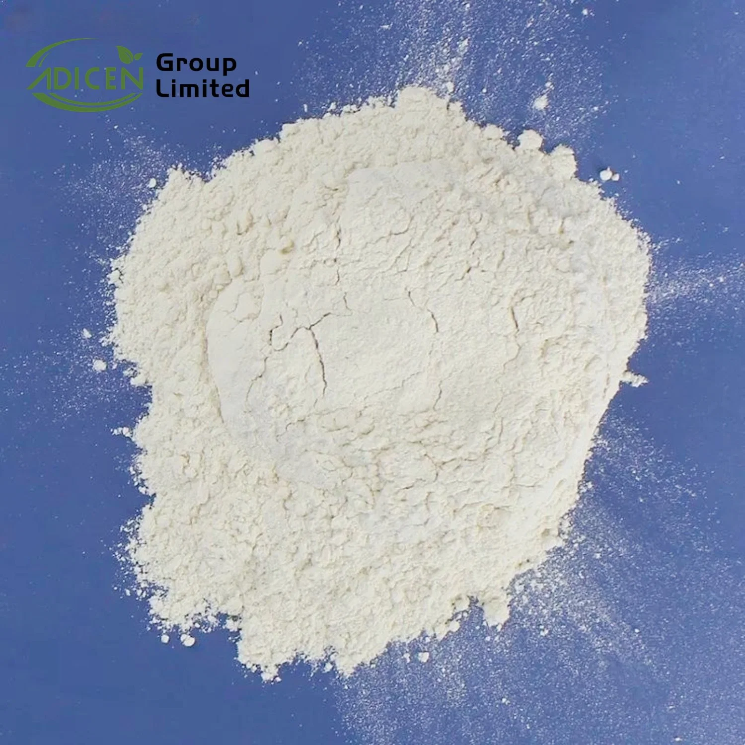 Vital Wheat Gluten Food Grade Chinese Factory Supply High Quality