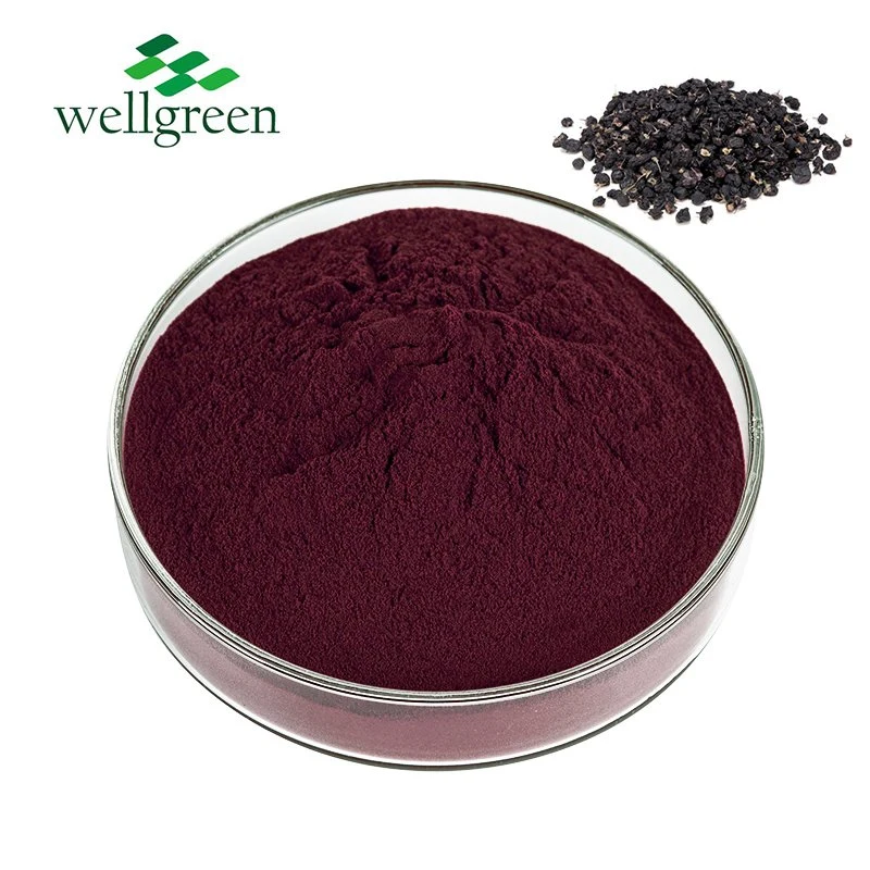 Best Quality Chinese Herb Medecine Black Goji Berry Powder Black Wolfberry Fruit Extract 25% Anthocyanin Lycium Barbarum