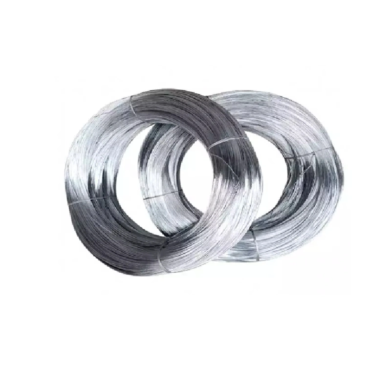 Flexible 304 316 1mm 2mm 3mm Stainless Steel Soft Wire