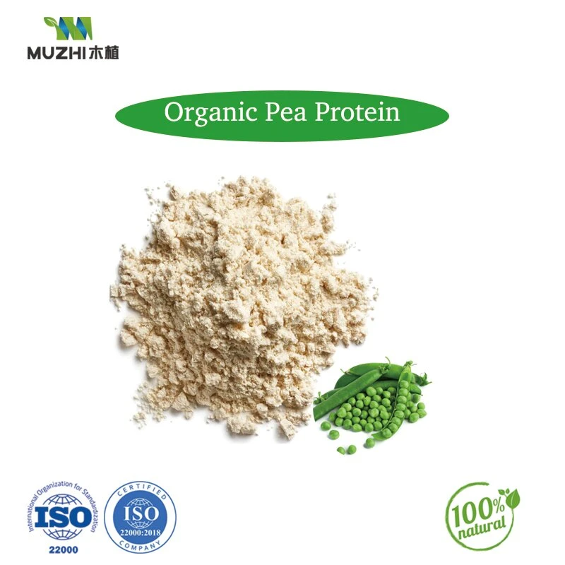 100% Natural Freeze-Dried Fruit and Vegetable Powder Water-Soluble Organic Super Food