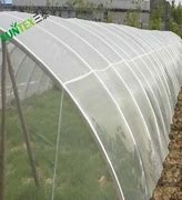 Wholesale/Suppliergarden Netting, Ultra Fine Garden Mesh Netting Greenhouse Protection Net, Reusable Plant Covers for Protect Vegetables Fruits Plant Flower Crop Screen