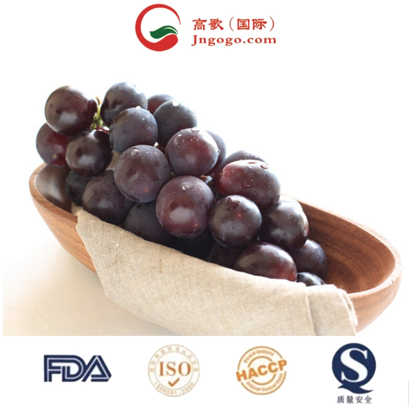 Fresh New Crop Chinese Red Globe Grape Excellent Quality Delicious Red Grape