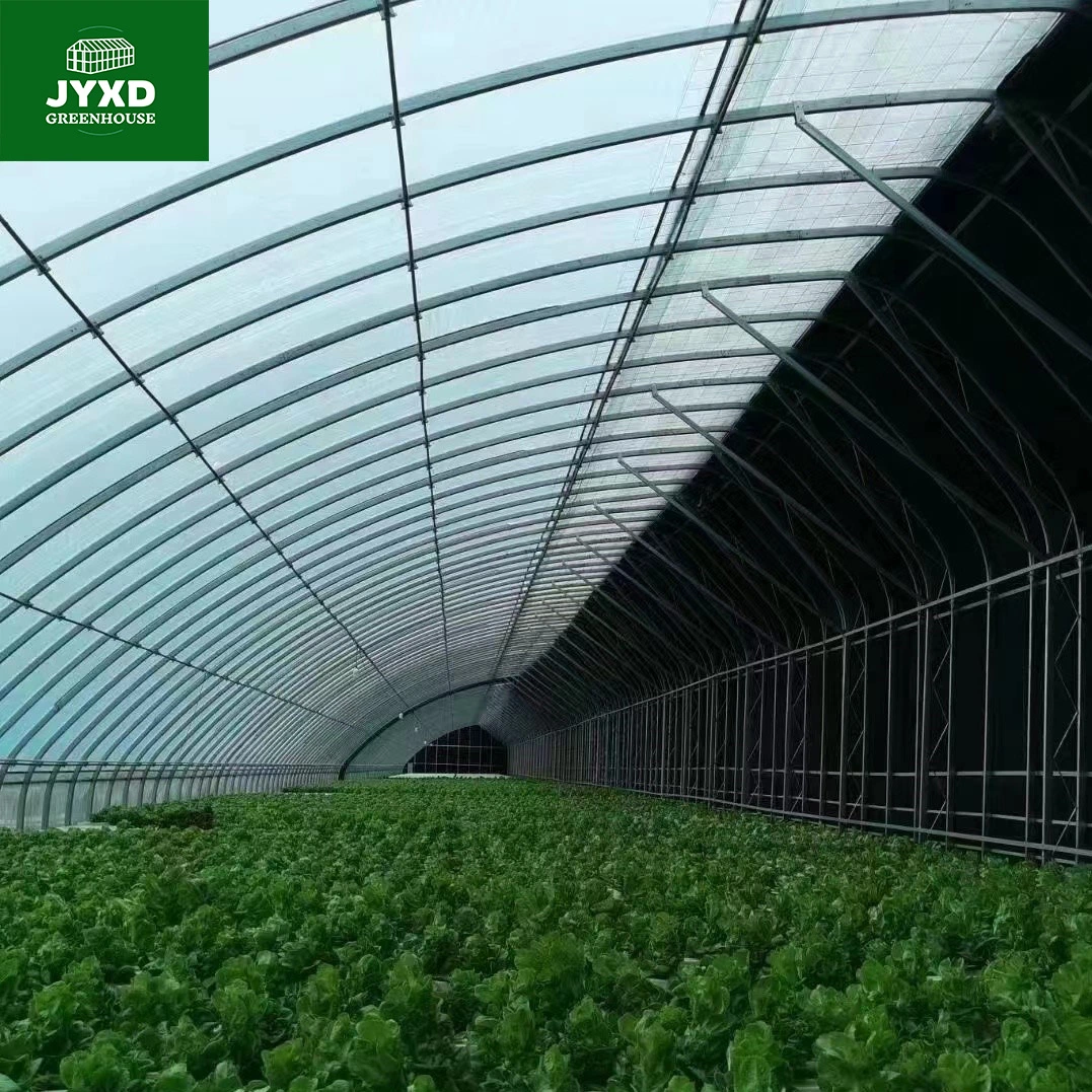 Modern Agriculture Multi-Span Customized Oval Tube Greenhouse with Hydroponics System Heating System for Vegetables Fruits Flowers Strawberry Vegetables