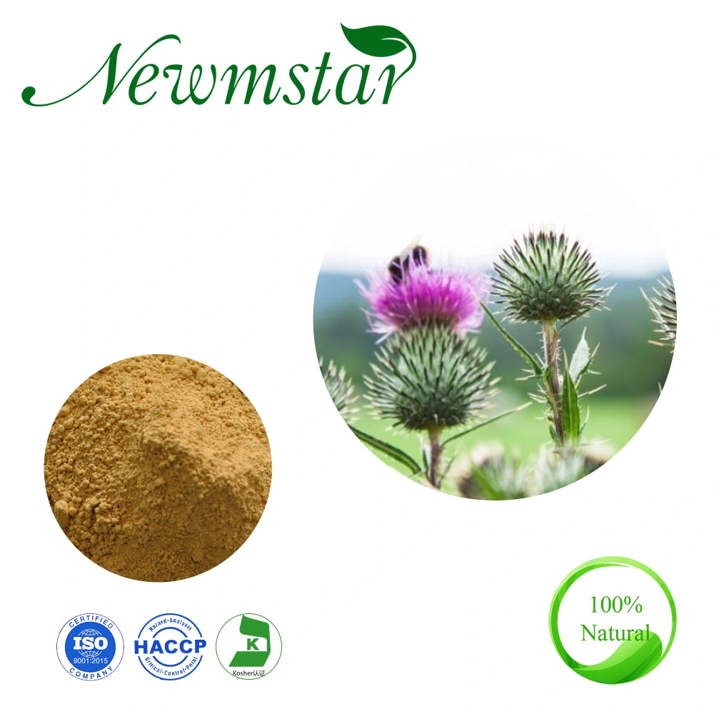 Silymarin 80% Milk Thistle Extract Good for Liver Protection Silybum Marianum L. Plant Extract for Health