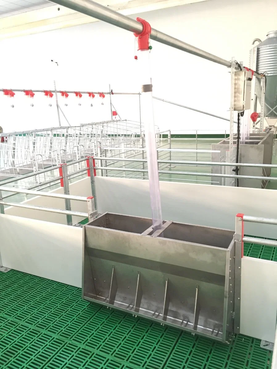 Swine Rearing Farm Equipment Feeding System Feeding Hopper Stainless Steel Feeder Trough