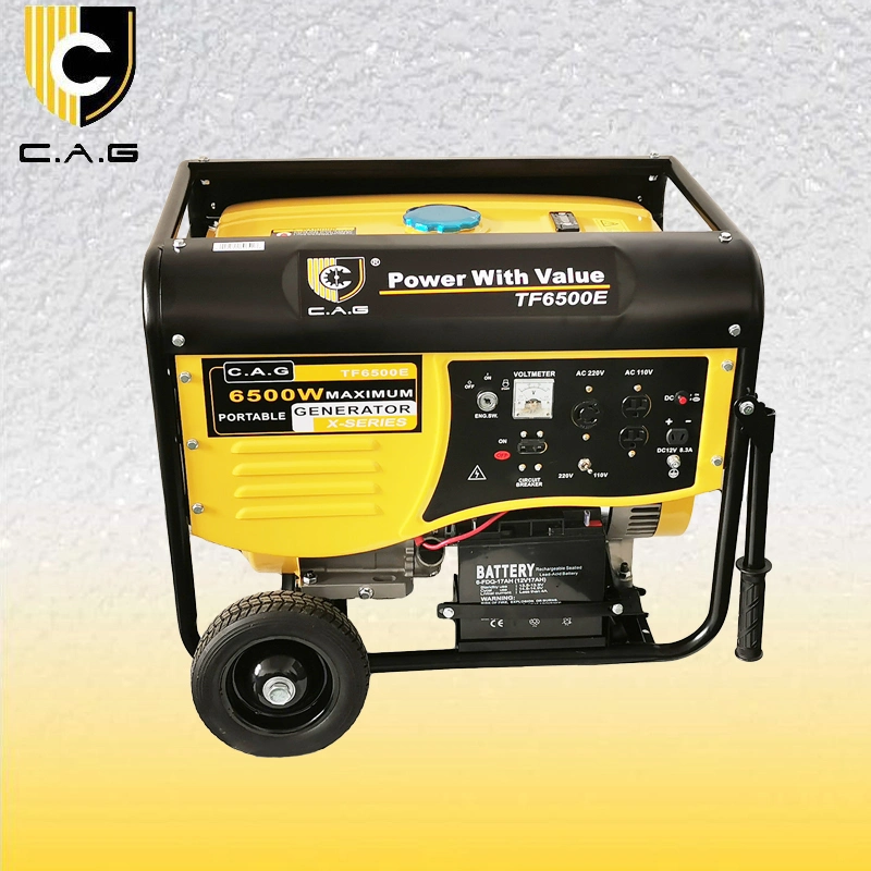 6.0kw Small 3 Phase 240V Gasoline/Natural Gas Backup Power System 6.0kVA Standby Electric Generators