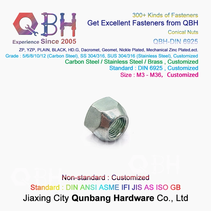 Qbh Customized OEM ODM DIN6925 Automobile Black Blue White Zinc Plated Prevailing Torque Type Wheel Lug Locknut