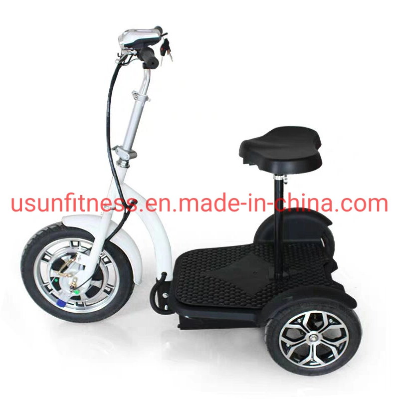 Promotion 500W Low Price 3 Wheel Electric Mobility Scooter Cheap 3 Wheel Electric Tricycle Cargo Bike Cargo Tricycle Bicycle with CE