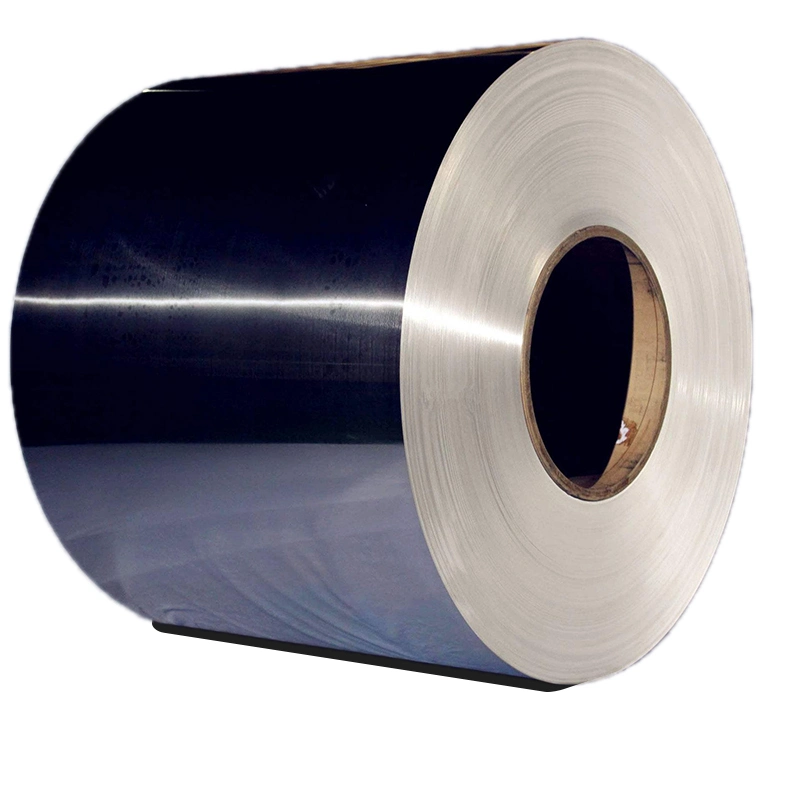 Cold Rolled Ss 316 201 430 439 ASTM AISI 304 6K 8K Stainless Steel Strip