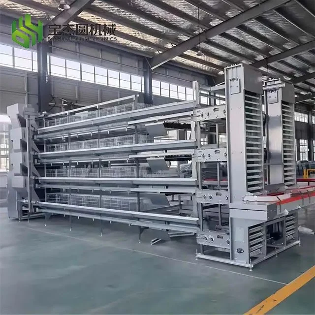 Hot Sale High quality/High cost performance  One-Stop Service Automatic Hens Layer Cage Feeding Equipment for Poultry Farms