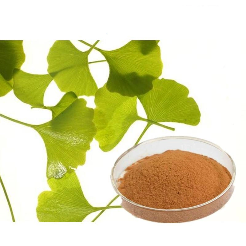 GMP Kosher Extracto de Ginkgo Biloba soluble en agua de alta calidad