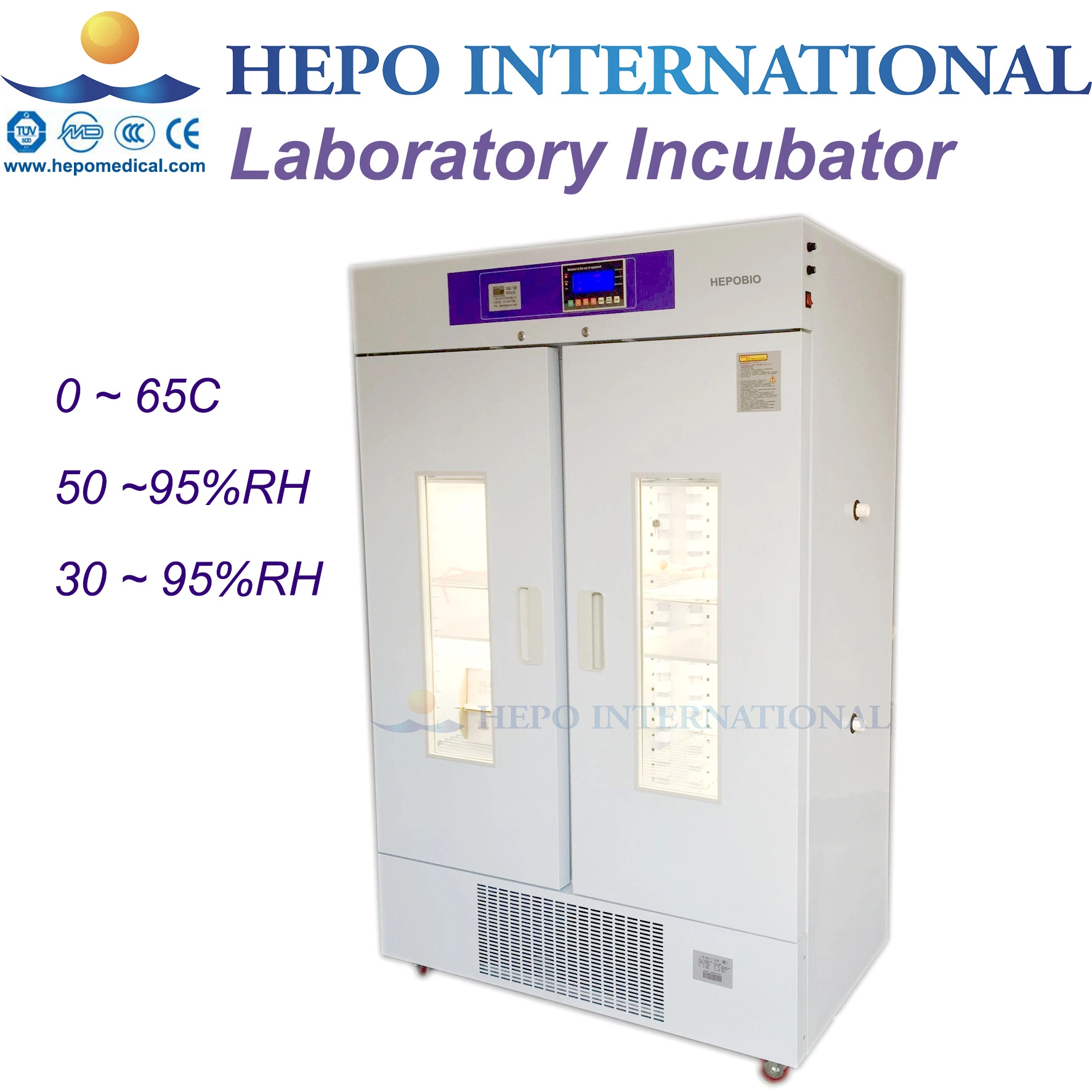 Laboratory Constant Temperature Humidity Mould Cultivation Incubator