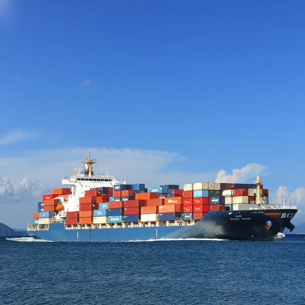 China Logistics Service LCL Sea Shipping Ocean Freight From China to Europe