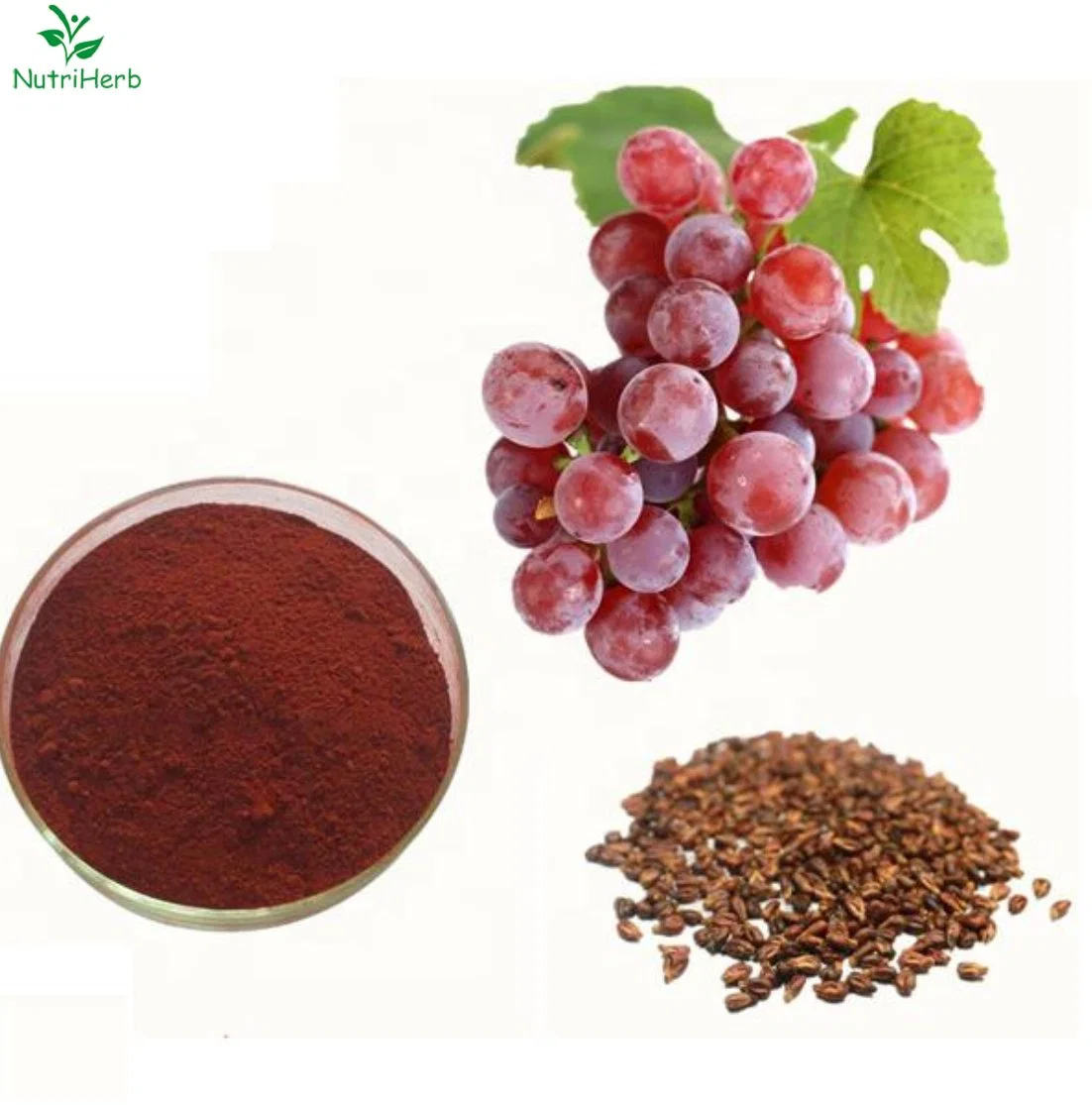 100% Natural Extract CAS 84929-27-1 Grape Seed Plant Extract