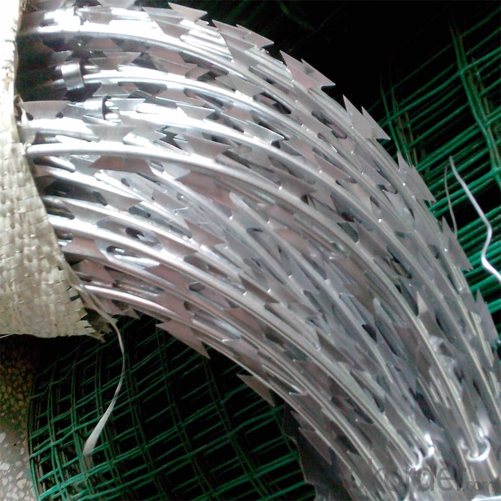 Hot Dipped Galvanized Concertina Razor Wire