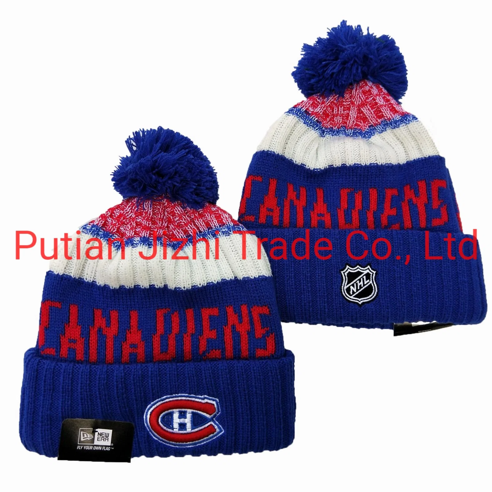 Commerce de gros bonnets casquettes Lightning de Tampa Bay tricot Dalls Stars de la Floride de l'hiver Cap panthères avec POM