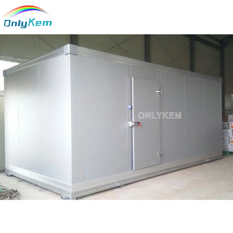 High Cooling Capacity Cold Storage Box Screw Type Water Cooled Unit Compressor Quick Freezing Cold Storage for Copeland