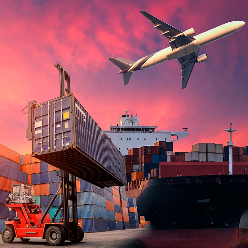 FCL Sea Freight Rates DDP Freight Forwarder China to USA UK Poland Sweden LCL Amazon Fba