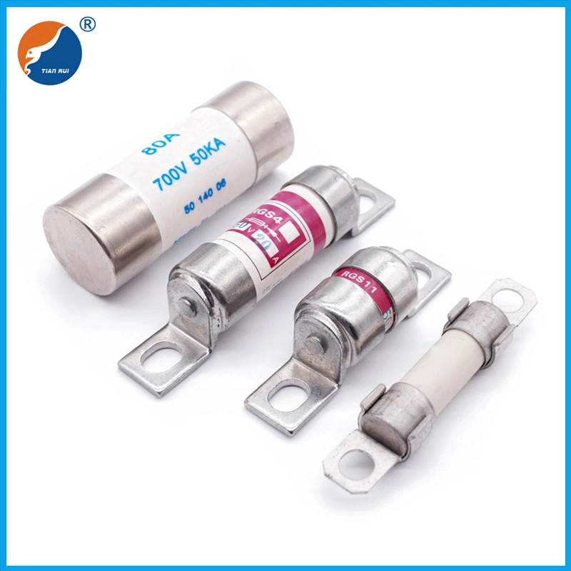 20A 63A 100A 500V 660V Rgs RS Rg Bolt Connected Fast Speed Fuse Link