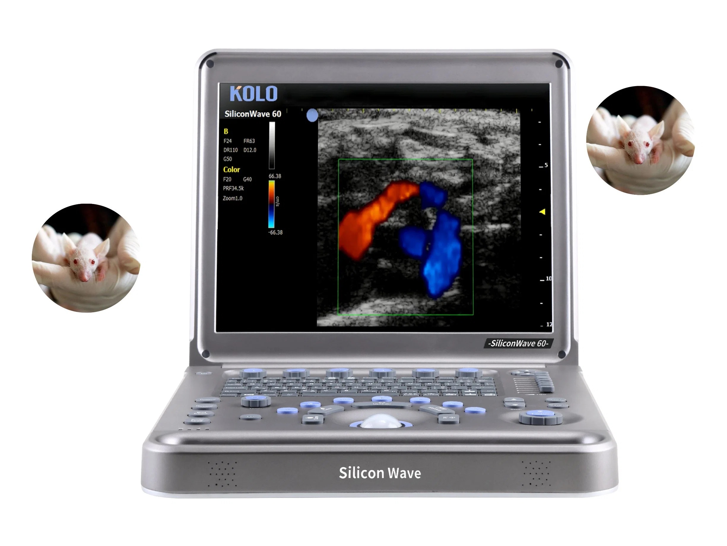 Portable Ultrasound Machine for Laboratory Animal Research Color Mode