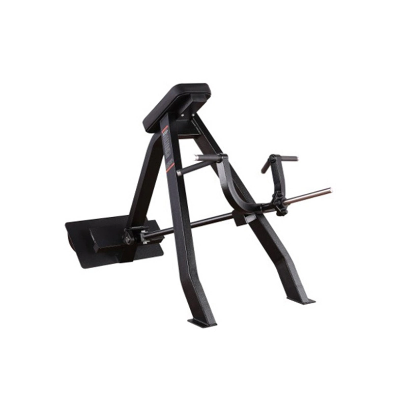 Weightlifting Hammer Strength Precor Flat Bench Gym Equipment