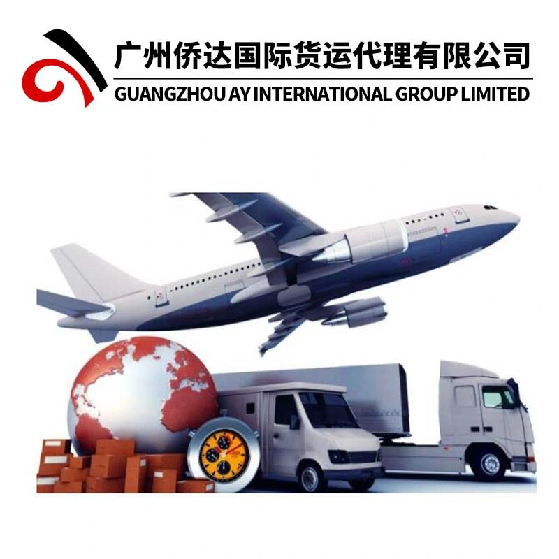 Professional China Despachante Service (exportação) e a China para o desalfandegamento Service (Importação)