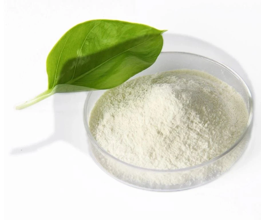 Food Additive Factory Chemicals Producer Selling Powder Lactic Acid