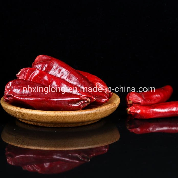 Premium Qaulity Dry Red Tientsin Chili Sanying Chilli Japones Chile /Red Cayenne Pepper/Tianjin Chilli