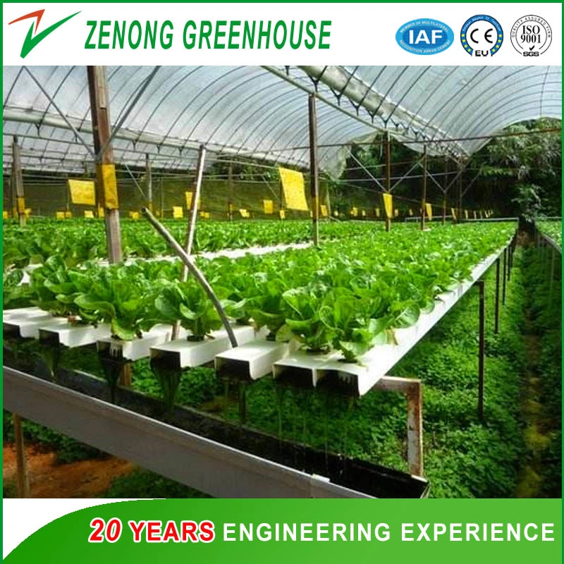 China Made High quality/High cost performance Plastic Film Green House for Growing Vegetables/Flowers/Eco Restaurant