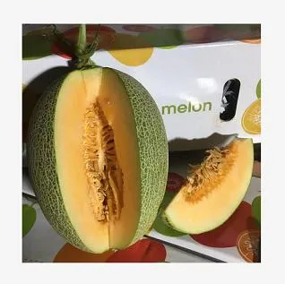 Vente chaude de melon de Hami - Cantaloup Hamigua